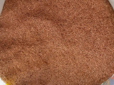 抖圈-为du而生官网入口